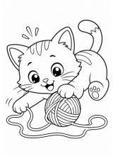 gato brincando com novelo de lã